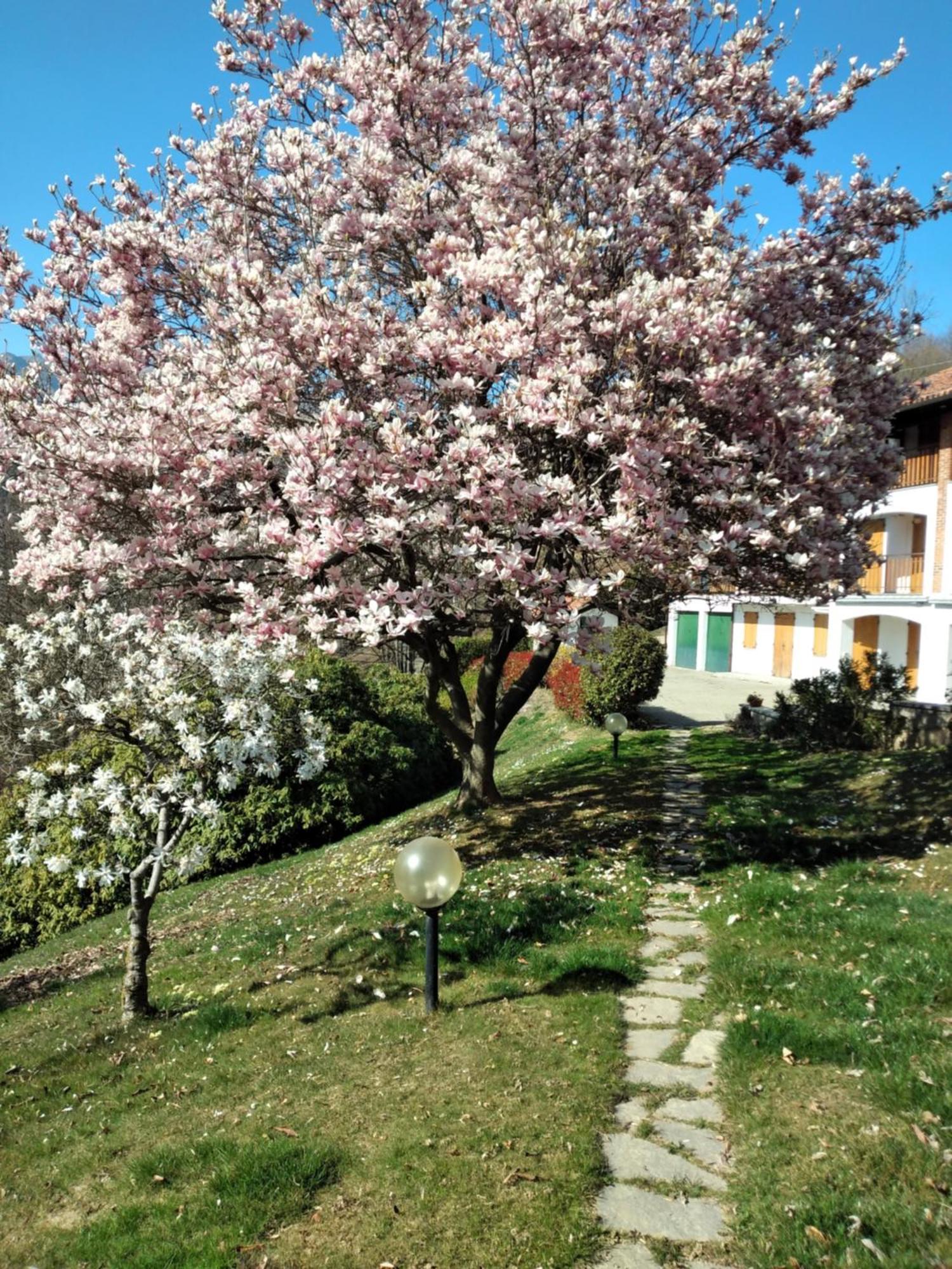Appartamento A Due Passi Da Burcina Favaro Extérieur photo